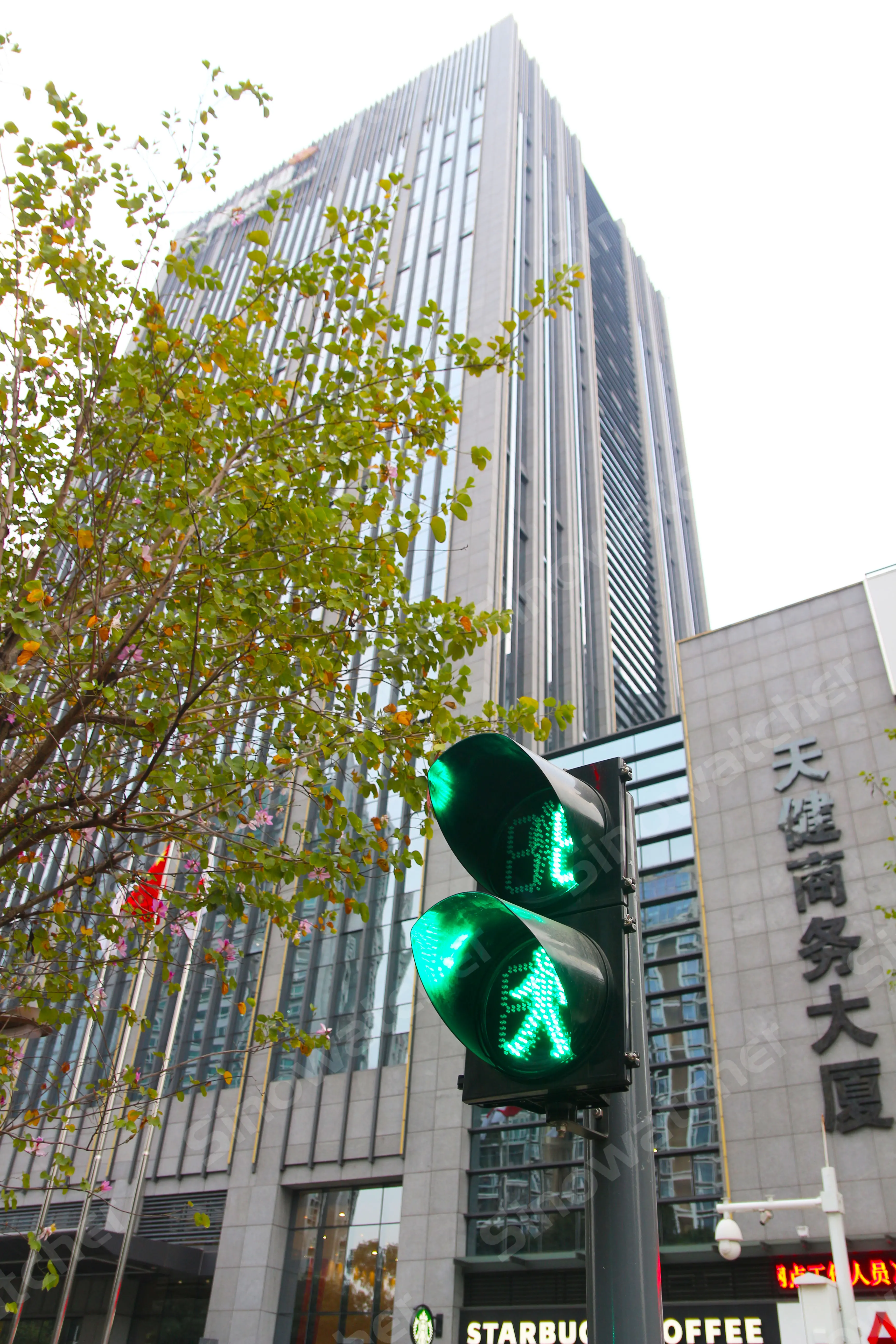 Semáforos en Shenzhen
