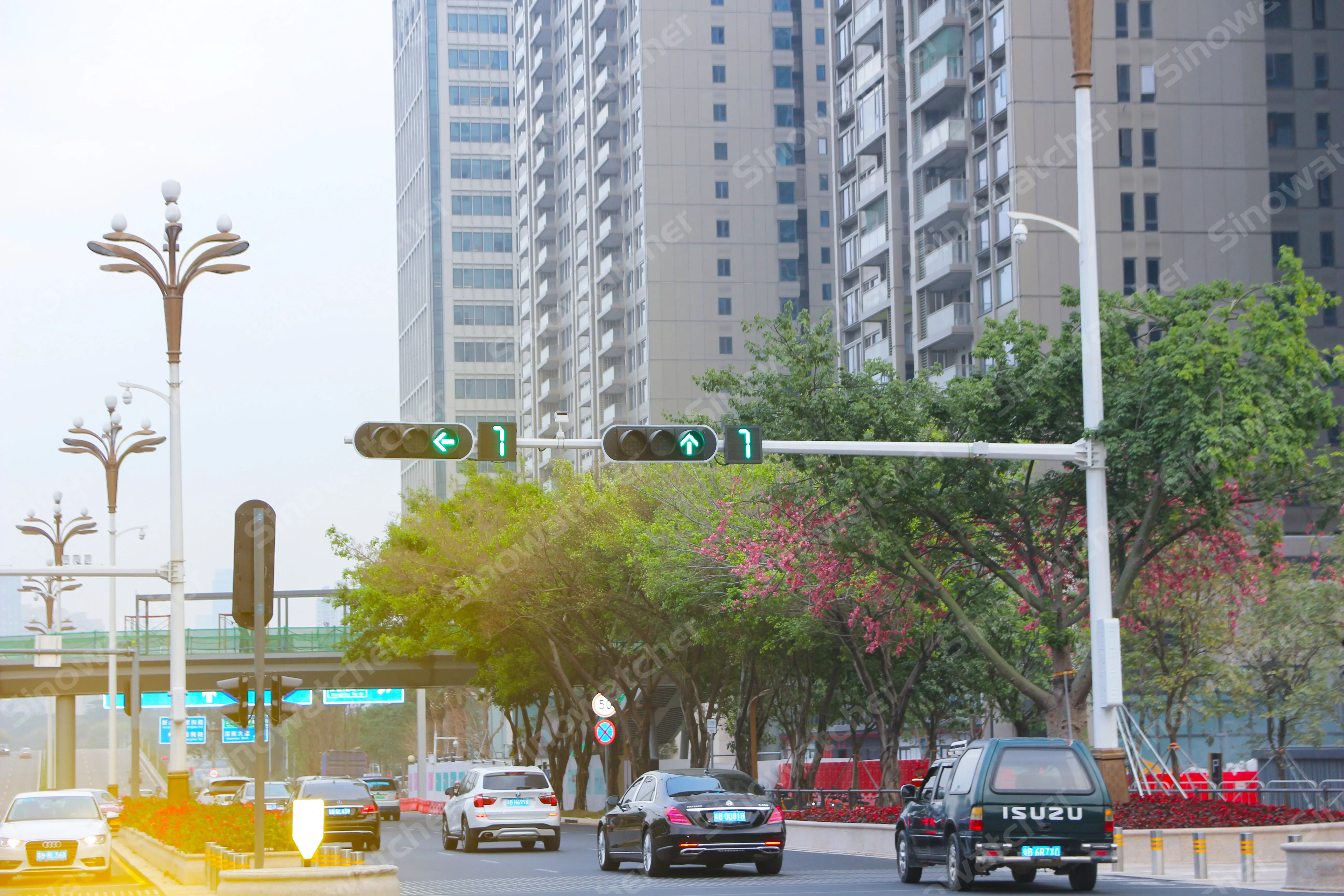 Feu de circulation à diodes électroluminescentes à Shenzhen