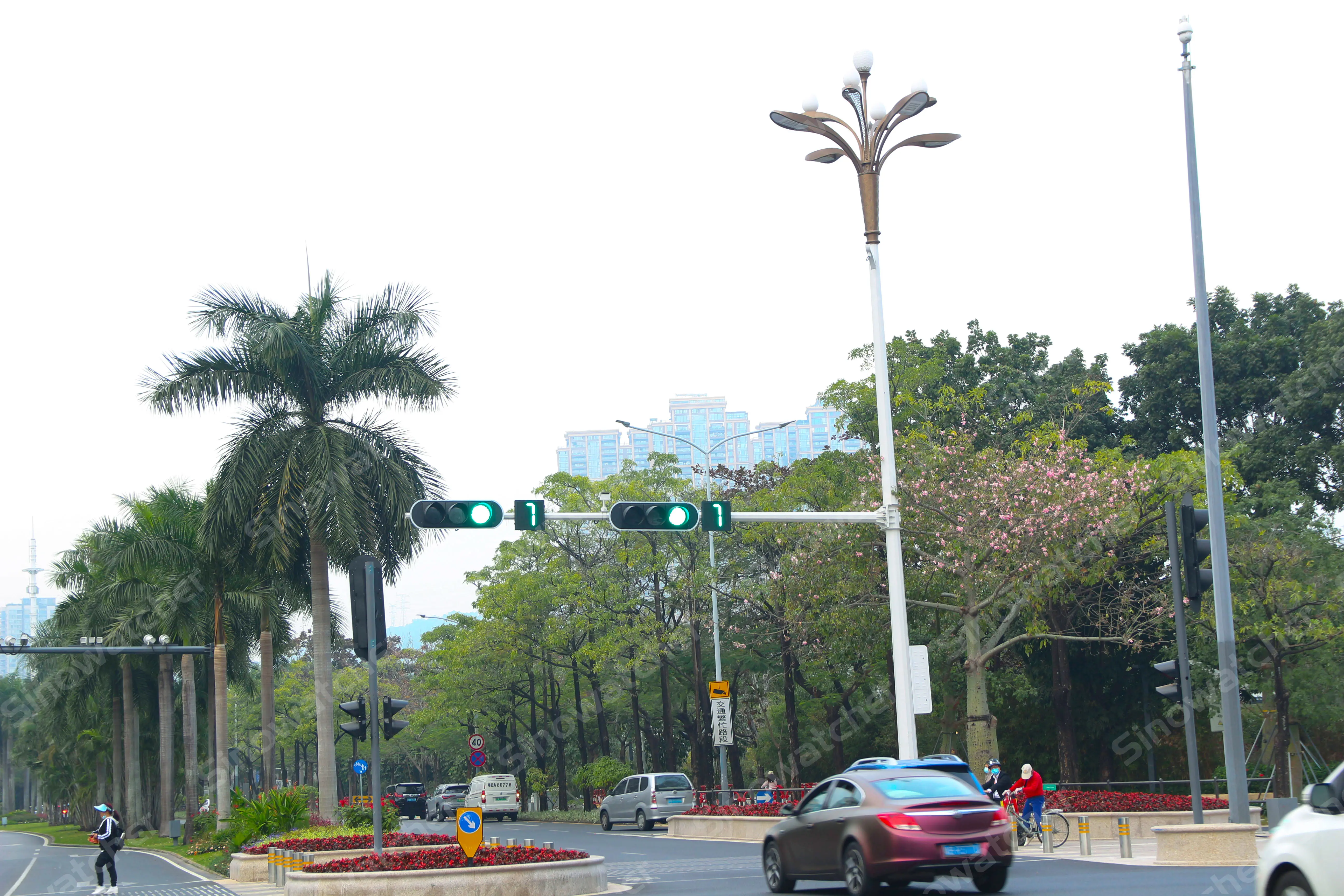 Feu de circulation à diodes électroluminescentes à Shenzhen