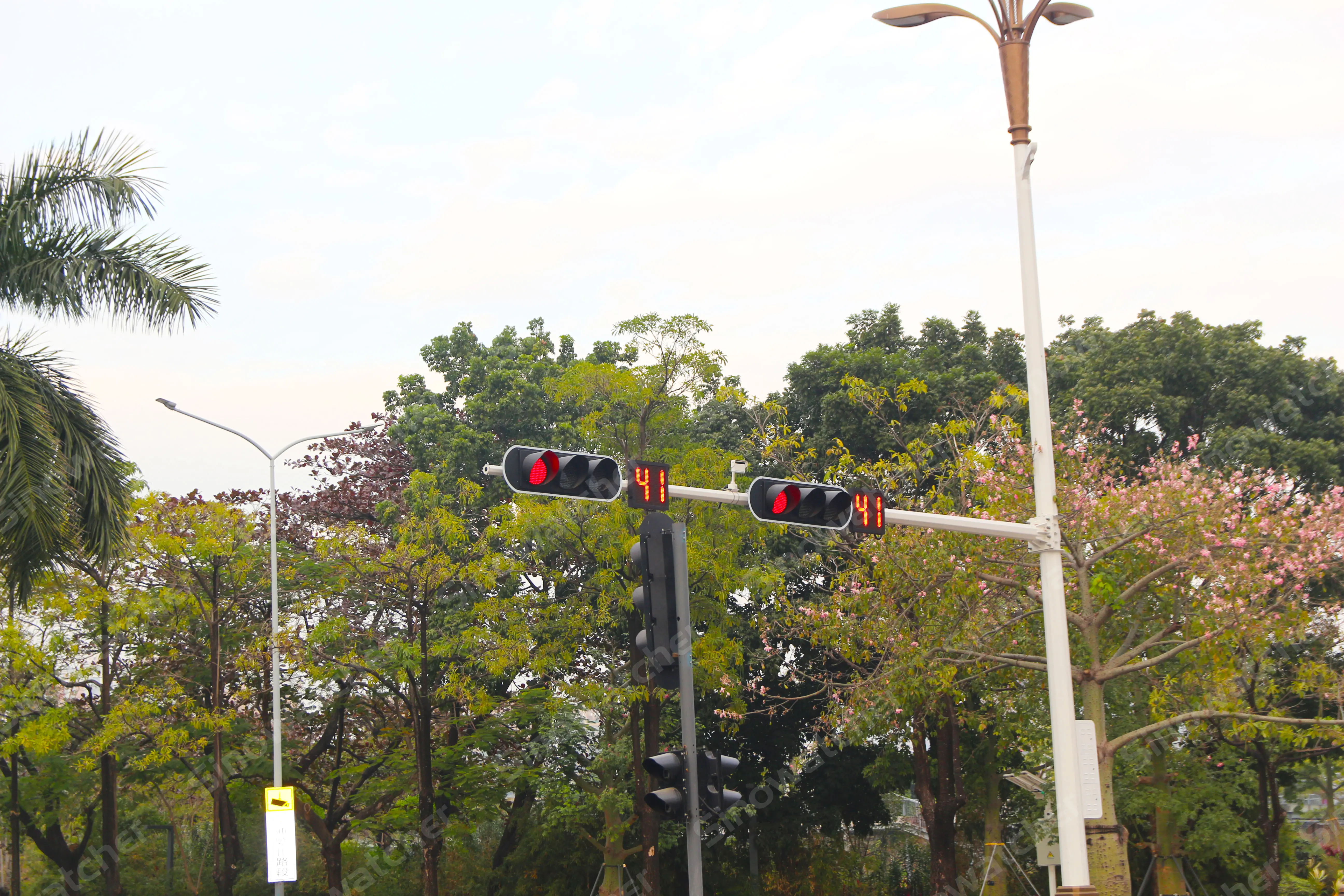 Feu de circulation à diodes électroluminescentes à Shenzhen
