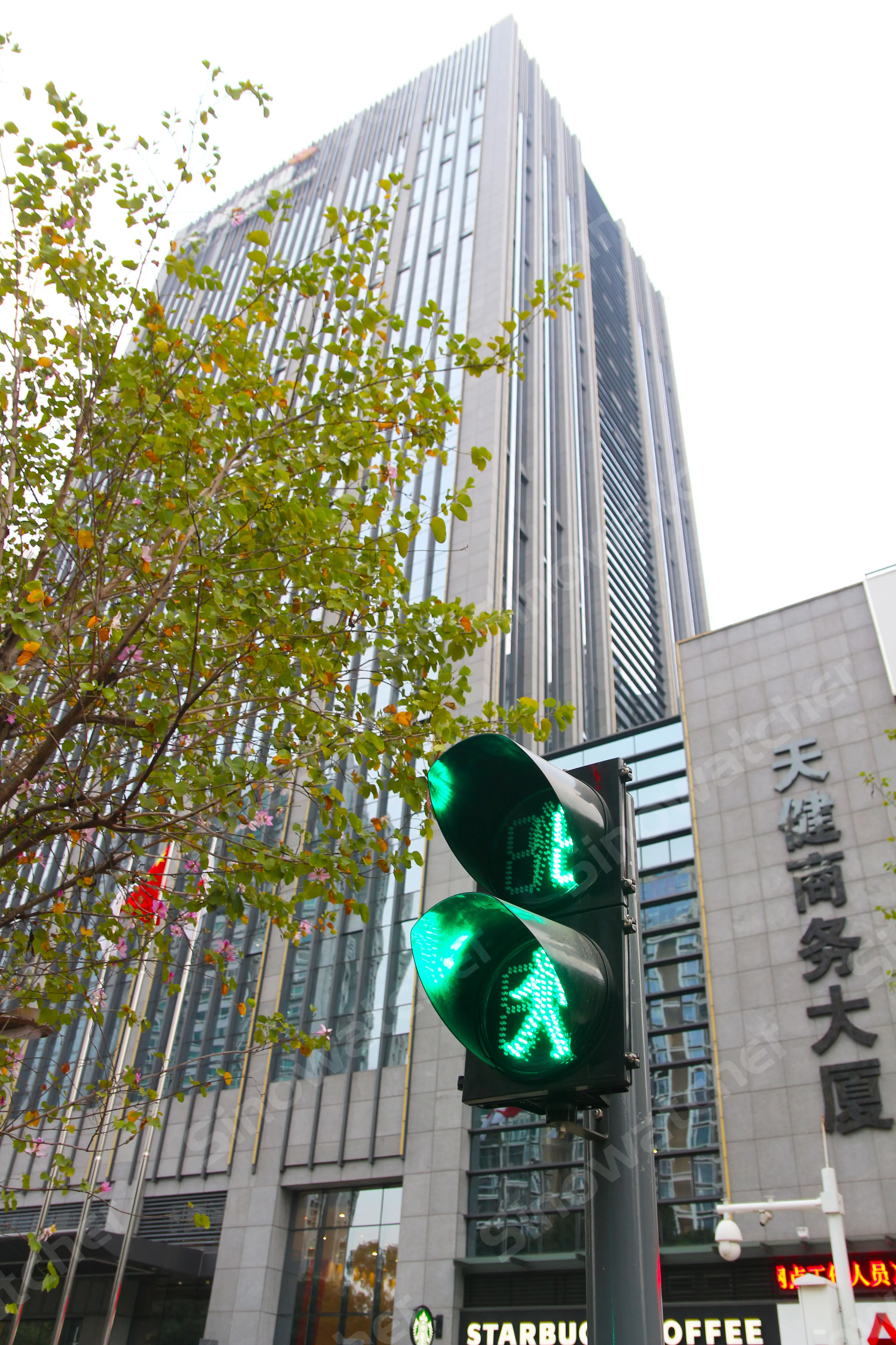 Feu de circulation à diodes électroluminescentes à Shenzhen