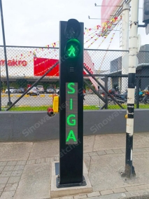 Integrated Pedestrian System