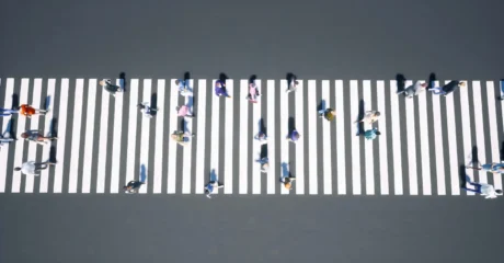 Pedestrian Crossing Safety 1