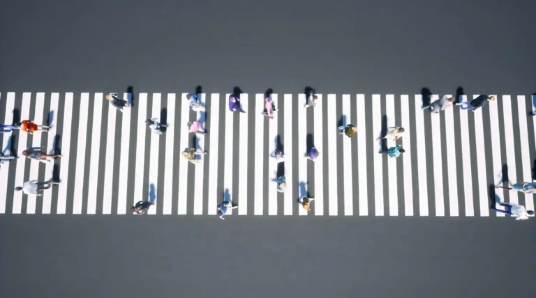 Pedestrian Crossing Safety 1