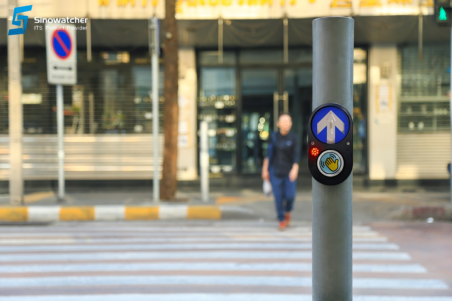 Pedestrian Crossing Safety 5