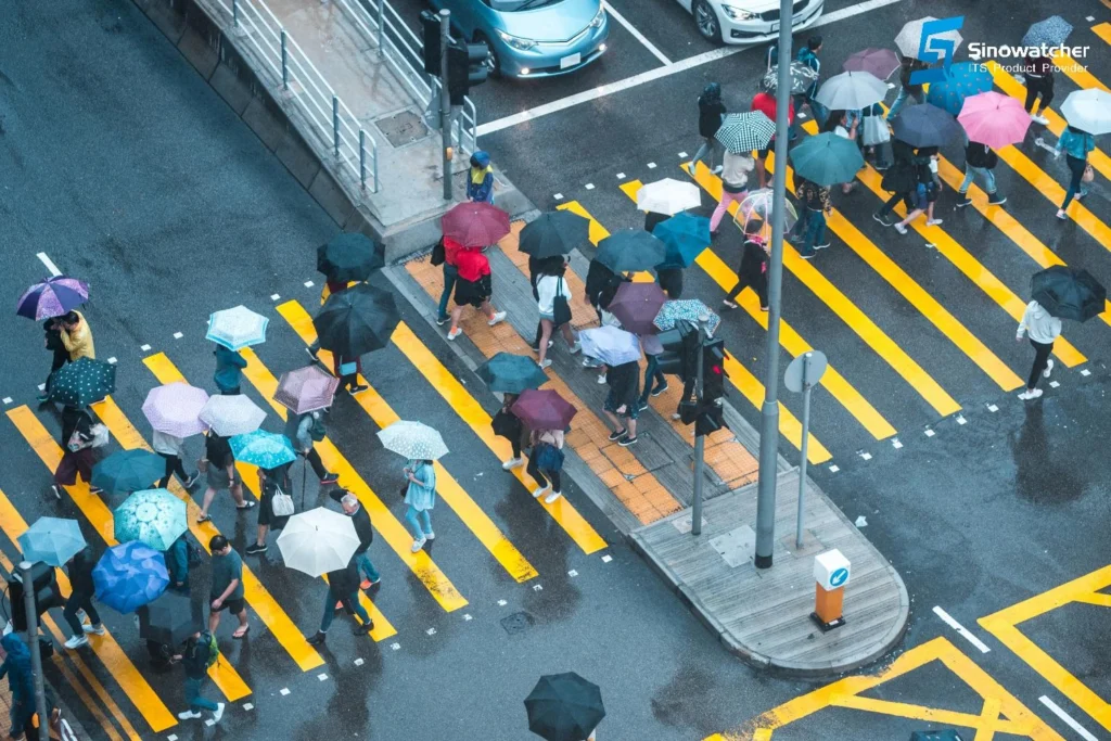 Pedestrian Crosswalk Signals1